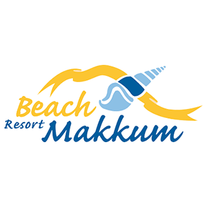 beach makkum